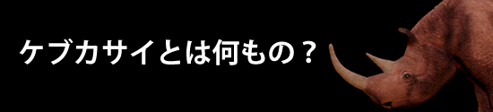 ケブカサイとは何者　