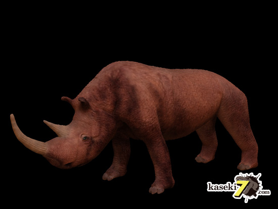 ケサイ Coelodonta antiquitatis 画像