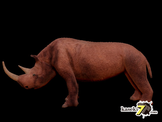 ケサイ Coelodonta antiquitatis 画像