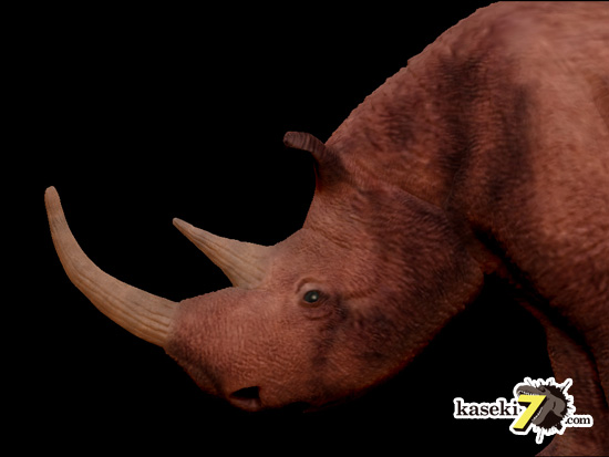 ケサイ Coelodonta antiquitatis 画像