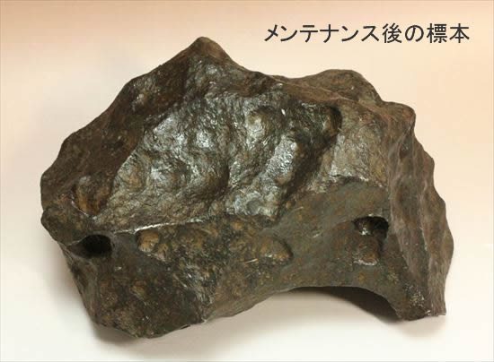 メンテナンス後の隕石標本