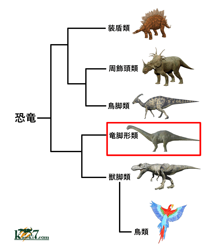 恐竜の分類
