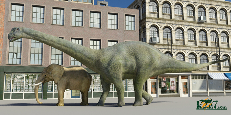 カマラサウルスとアフリカゾウ