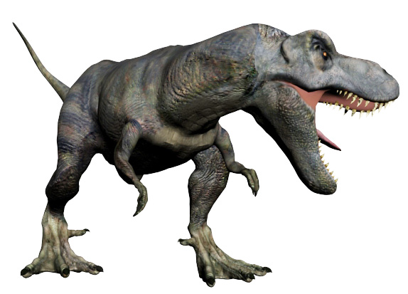 肉食恐竜の歯の違い タケノコ型とナイフ型 恐竜化石に関するコラム 三葉虫 アンモナイト サメの歯