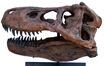 ティラノサウルス 恐竜の模型ののレンタルあります