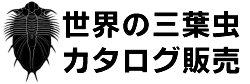 三葉虫 分類 種類 販売