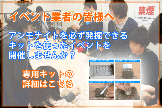 アンモナイト発掘体験キット絶賛発売中