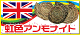 イギリス産虹色アンモナイトを