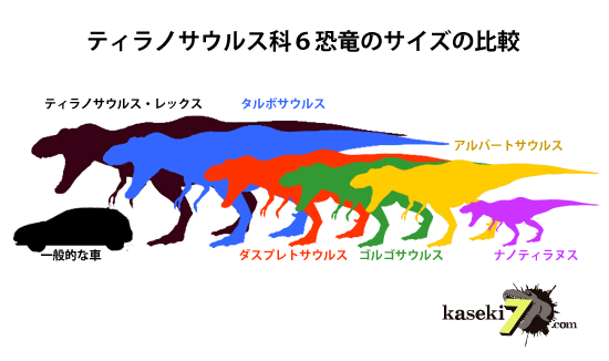 ティラノサウルス科の６恐竜のサイズの比較　画像