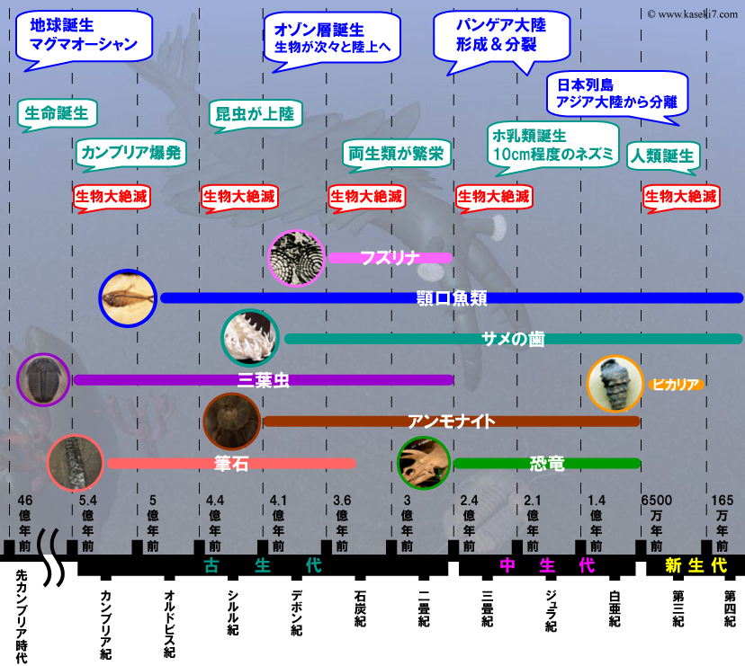 地球が誕生してから現在までの化石年表