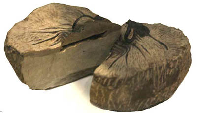 アメリカ、ネブラスカ州