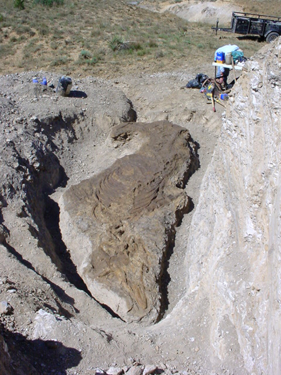 米国中西部・ネブラスカ州の、モササウルスの発掘現場