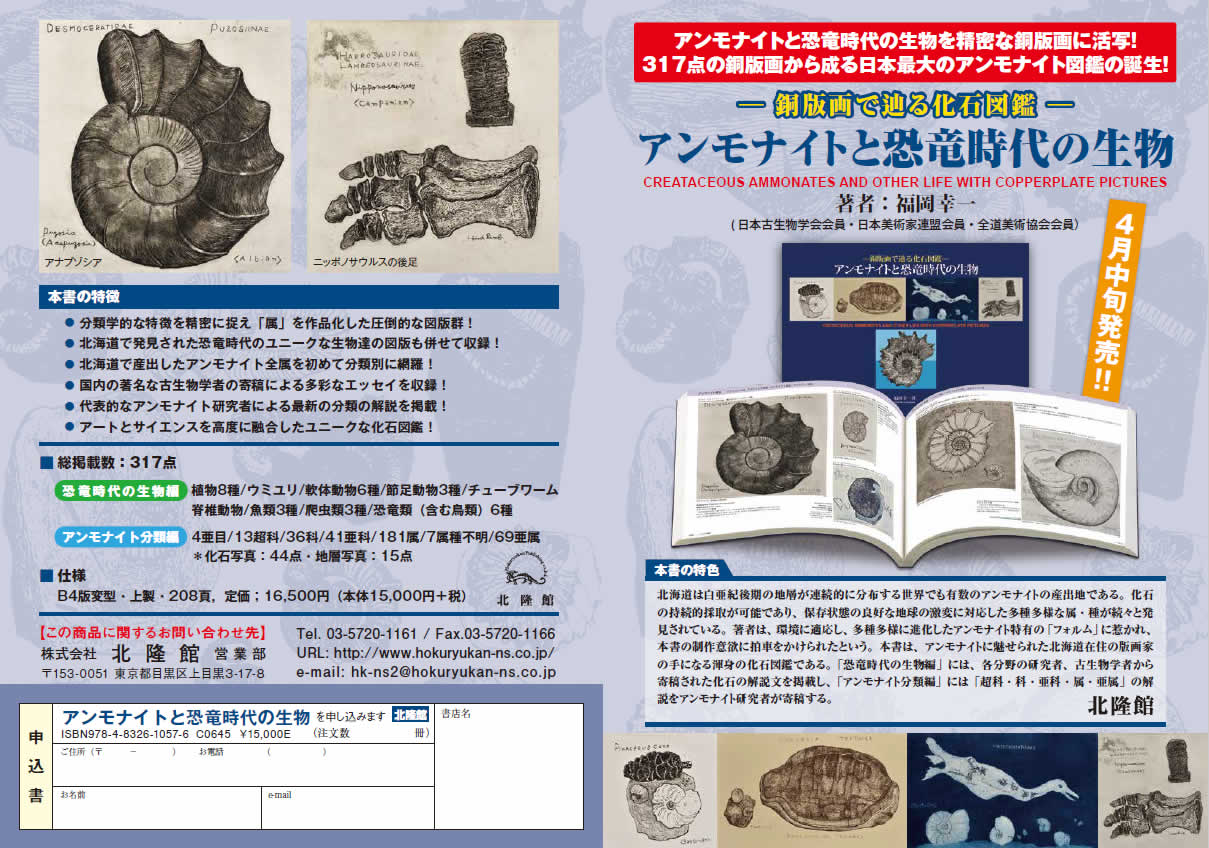 書籍「アンモナイトと恐竜時代の生物」