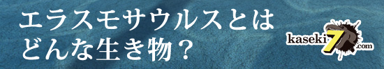 エラスモサウルスってどんな生き物？