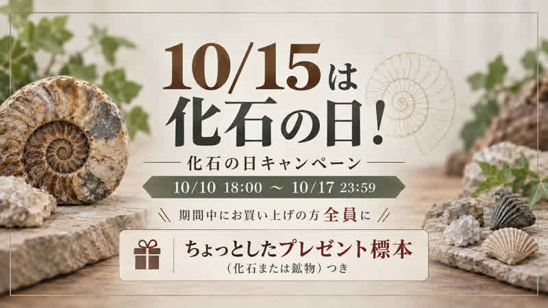 10/15は化石の日！期間中お買い上げでプレゼント標本つき
