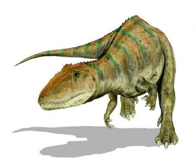 カルカロドントサウルス/