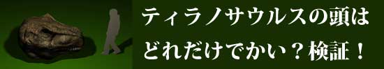 ティラノサウルスの頭はどれだけでかい？検証！