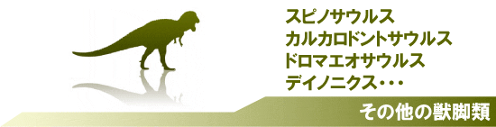 獣脚類 化石 販売