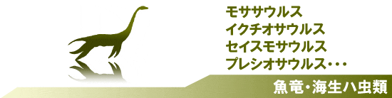 爬虫類　は虫類　ハ虫類 化石 販売