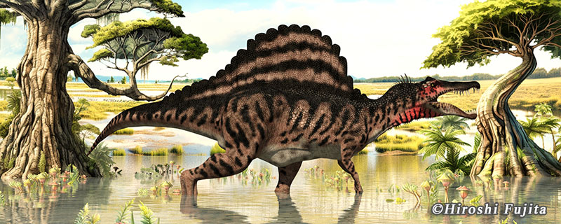 スピノサウルス 画像