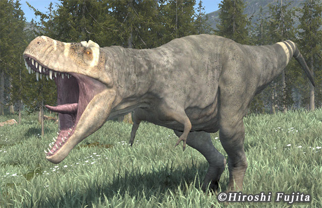 ティラノサウルスについて