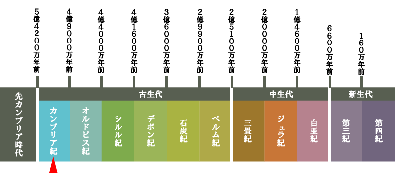 地質年代