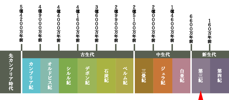 地質年代