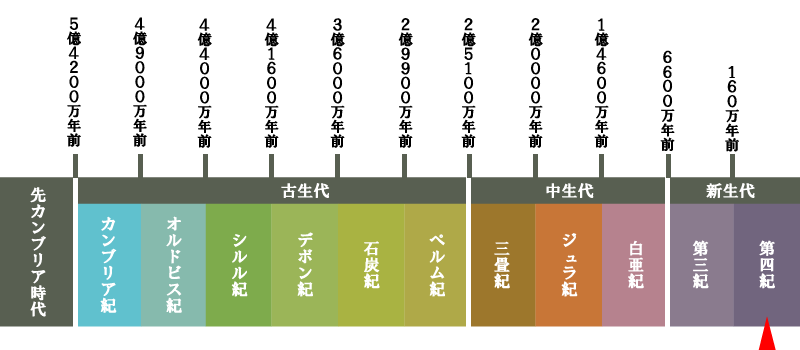 地質年代