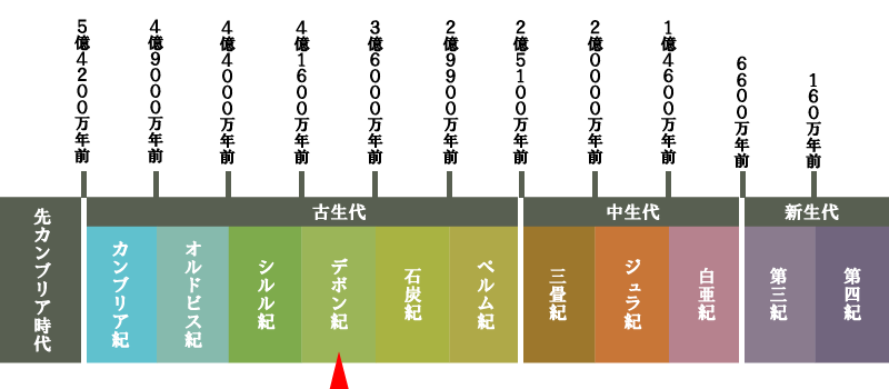 地質年代