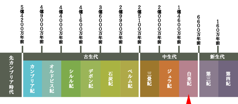 地質年代