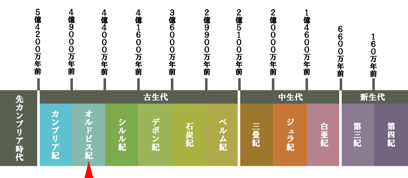 地質年代