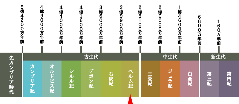 地質年代