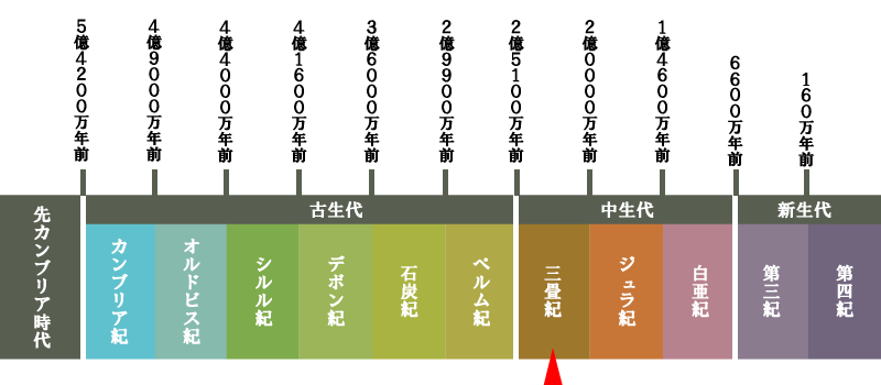 地質年代