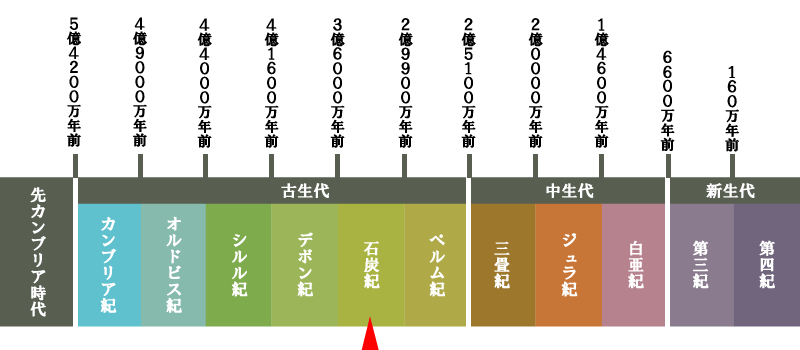 地質年代