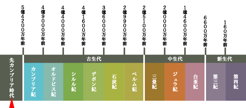 地質年代