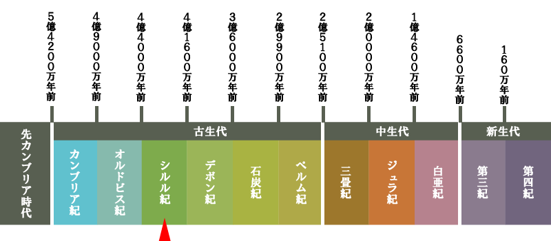 地質年代