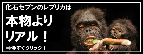 化石