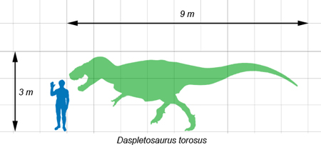 ダスプレトサウルス