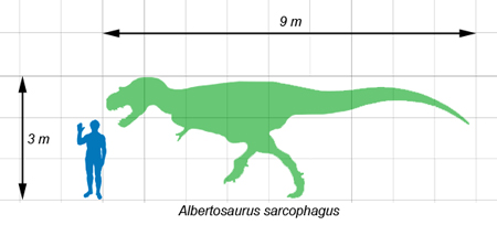 アルバートサウルス