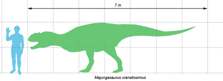 マジュンガサウルス