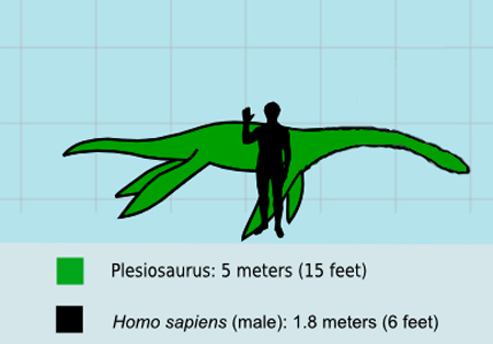 プレシオサウルス