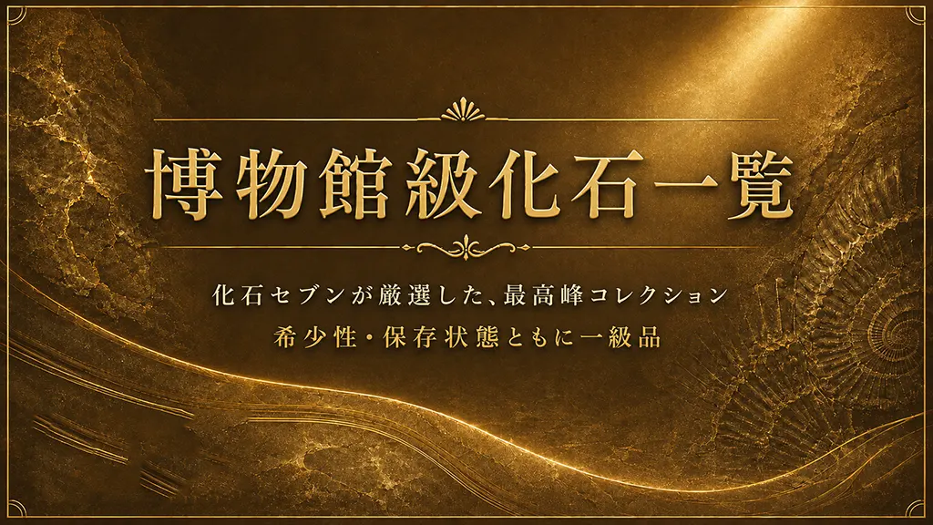 博物館級化石一覧　プレミアムコレクション