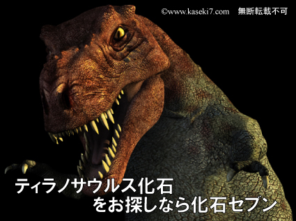 ティラノサウルス化石をお探しなら化石セブン