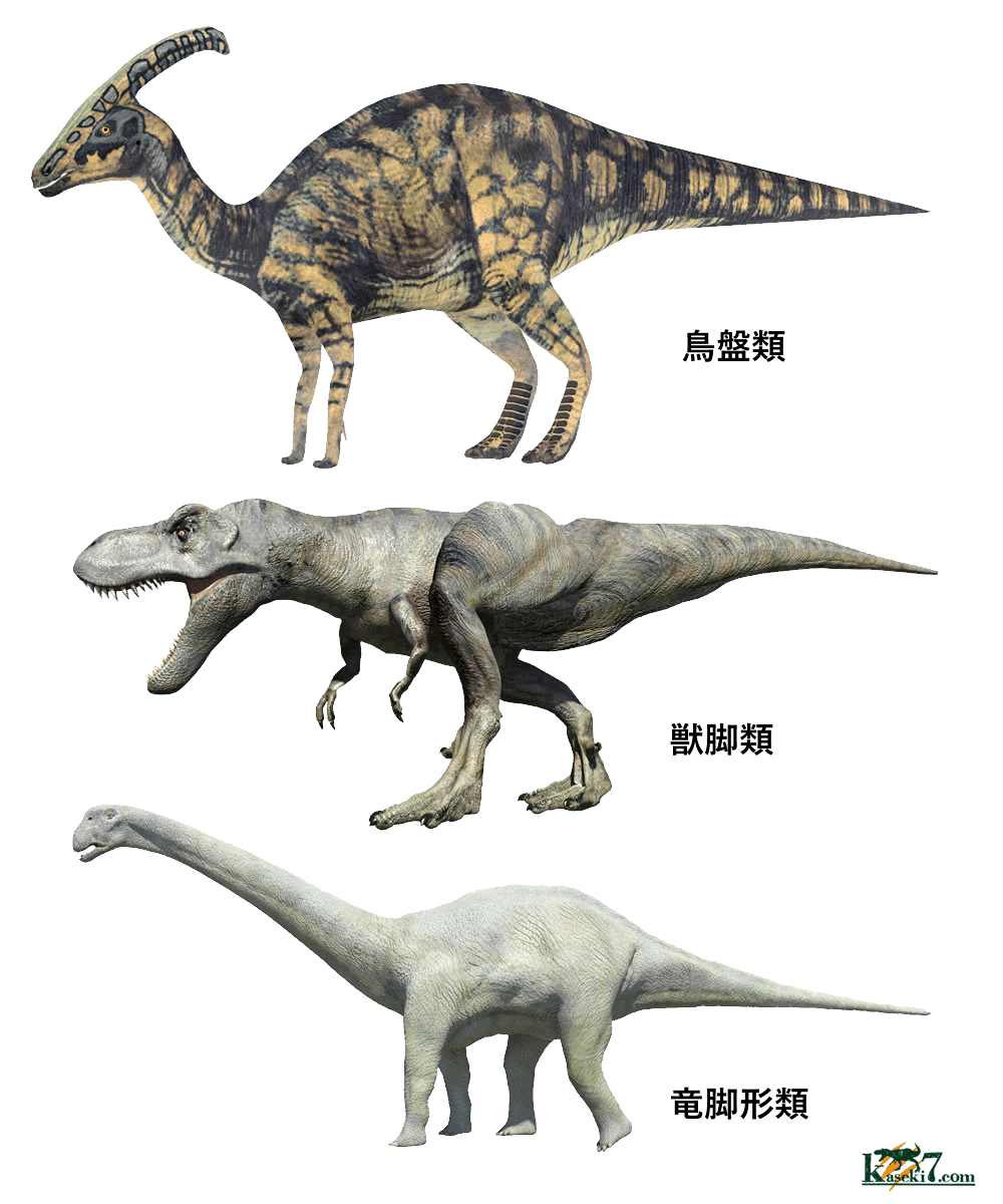 恐竜の種類を知ろう！