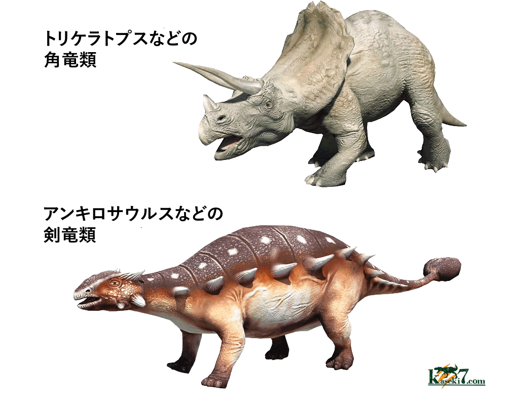 意外と知らない恐竜の種類 恐竜化石に関するコラム 三葉虫 アンモナイト サメの歯