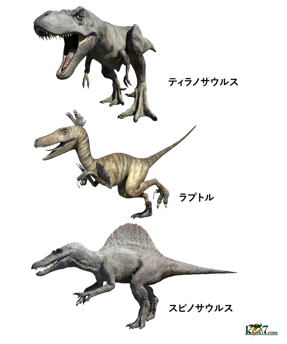 意外と知らない恐竜の種類 恐竜化石に関するコラム 三葉虫 アンモナイト サメの歯