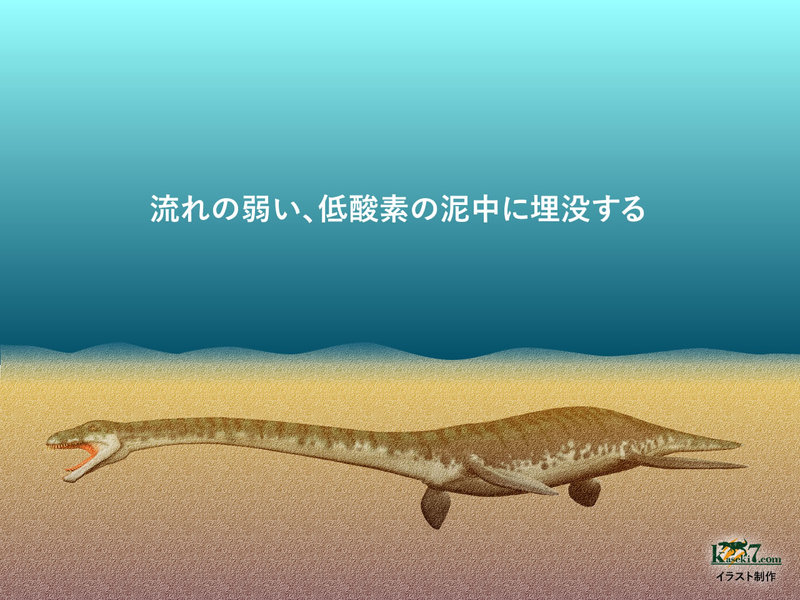 生物の遺骸が埋没する