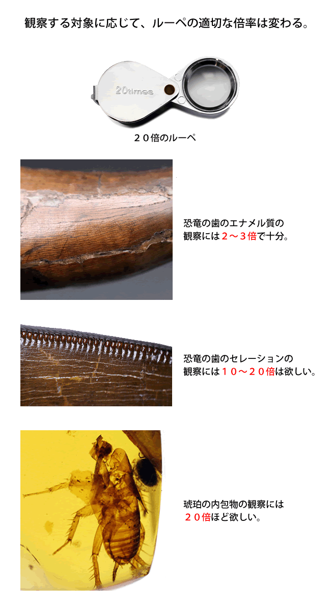 ルーペ(拡大鏡)を買い求めるときに重要なのは、倍率