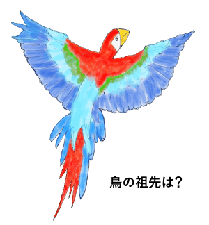 鳥の祖先は恐竜？