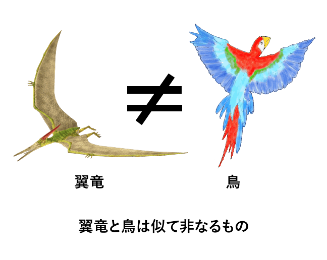 翼竜と鳥は似て非なるもの